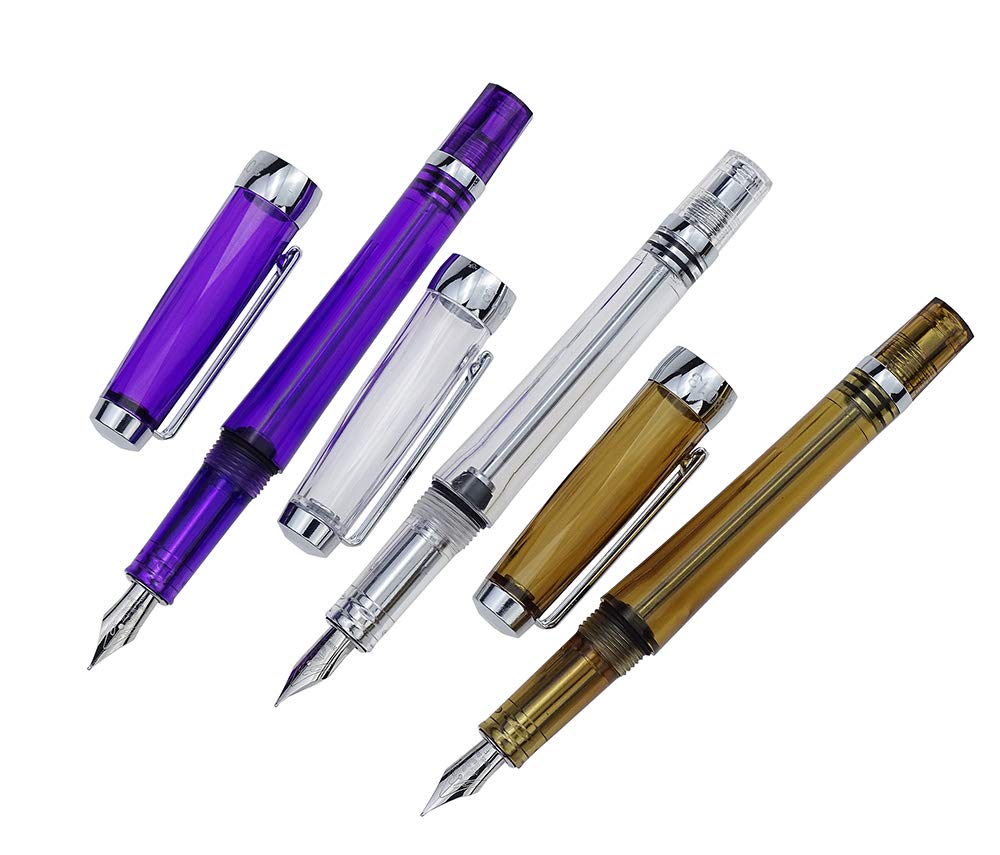 Amazon | Wingsung 3013 透明万年筆 細字ペン先 真空充填